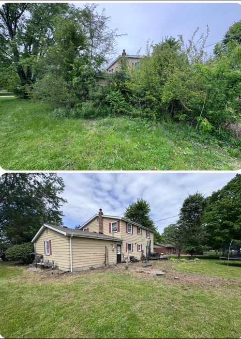 Brush cleared off a house